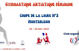 Coupe de la Loire 3