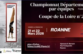 Coupe de la loire n°2 Roanne